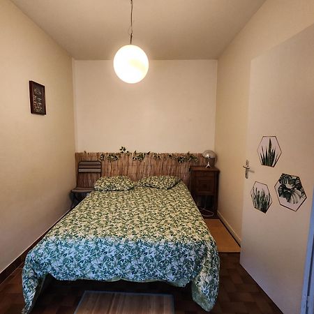 Dolphin'S House Apartment Avignon Bagian luar foto