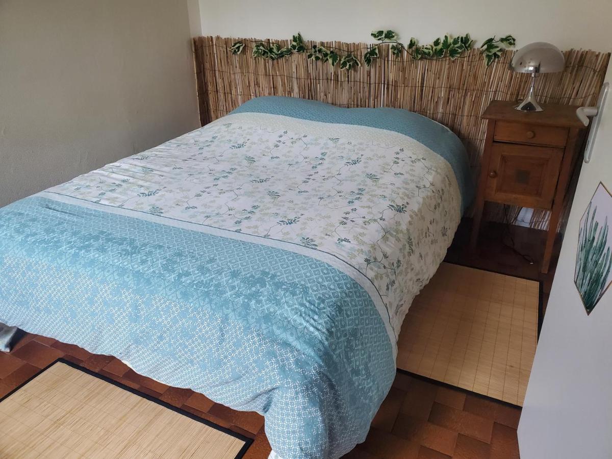 Dolphin'S House Apartment Avignon Bagian luar foto