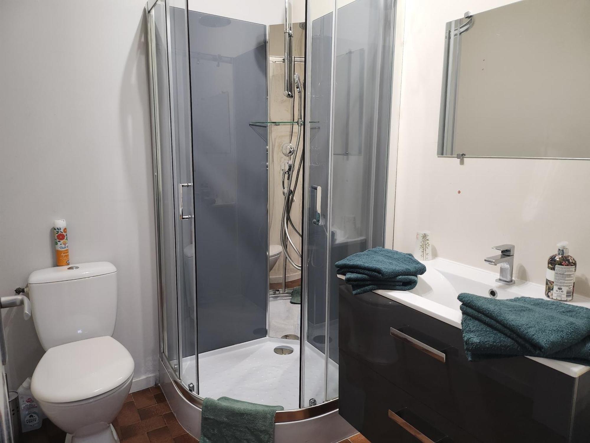 Dolphin'S House Apartment Avignon Bagian luar foto